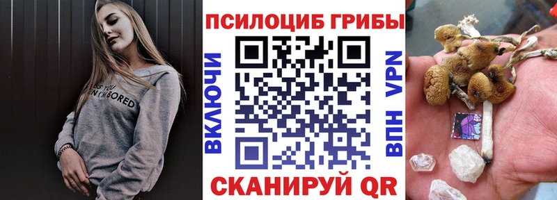 Псилоцибиновые грибы Psilocybe  omg зеркало  Ульяновск 